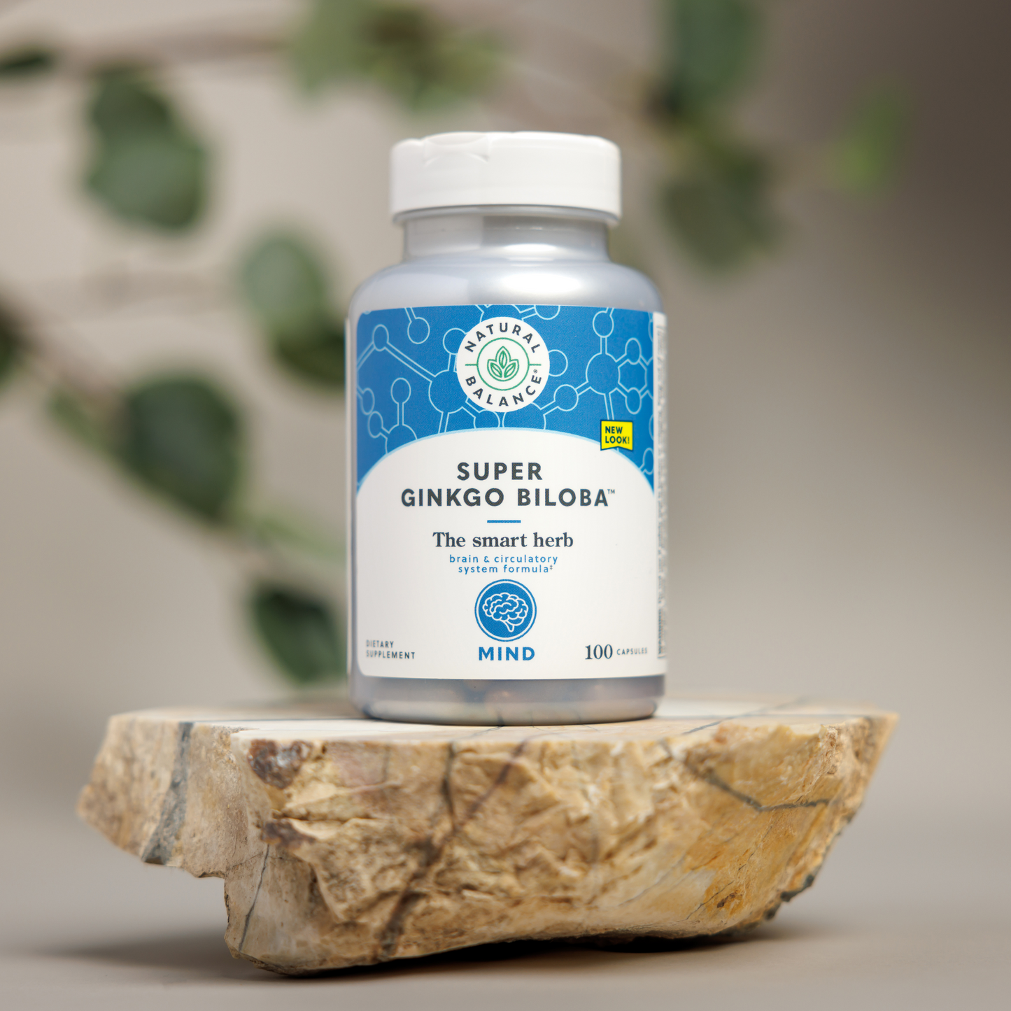 Super Ginkgo Biloba | The Smart Herb