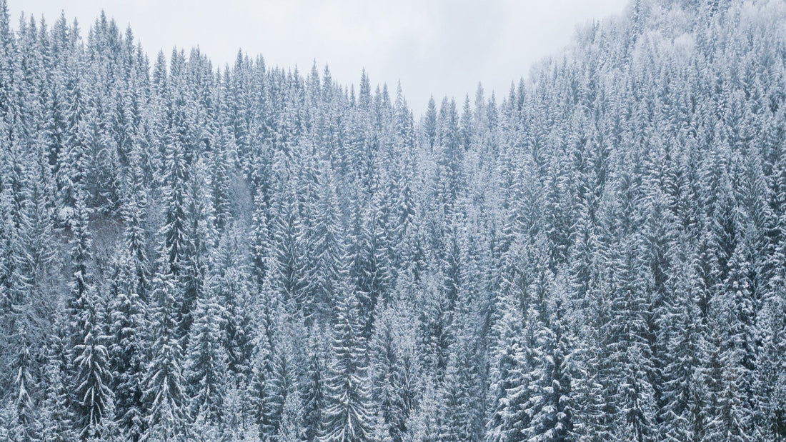 A Peaceful Holiday Starts with Balance