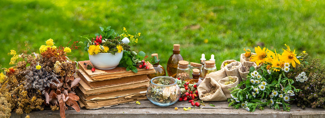 3 Reasons Herbs are Everything