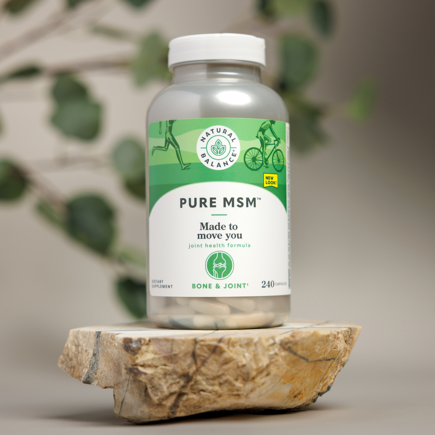 Pure MSM | Joint Health Formula