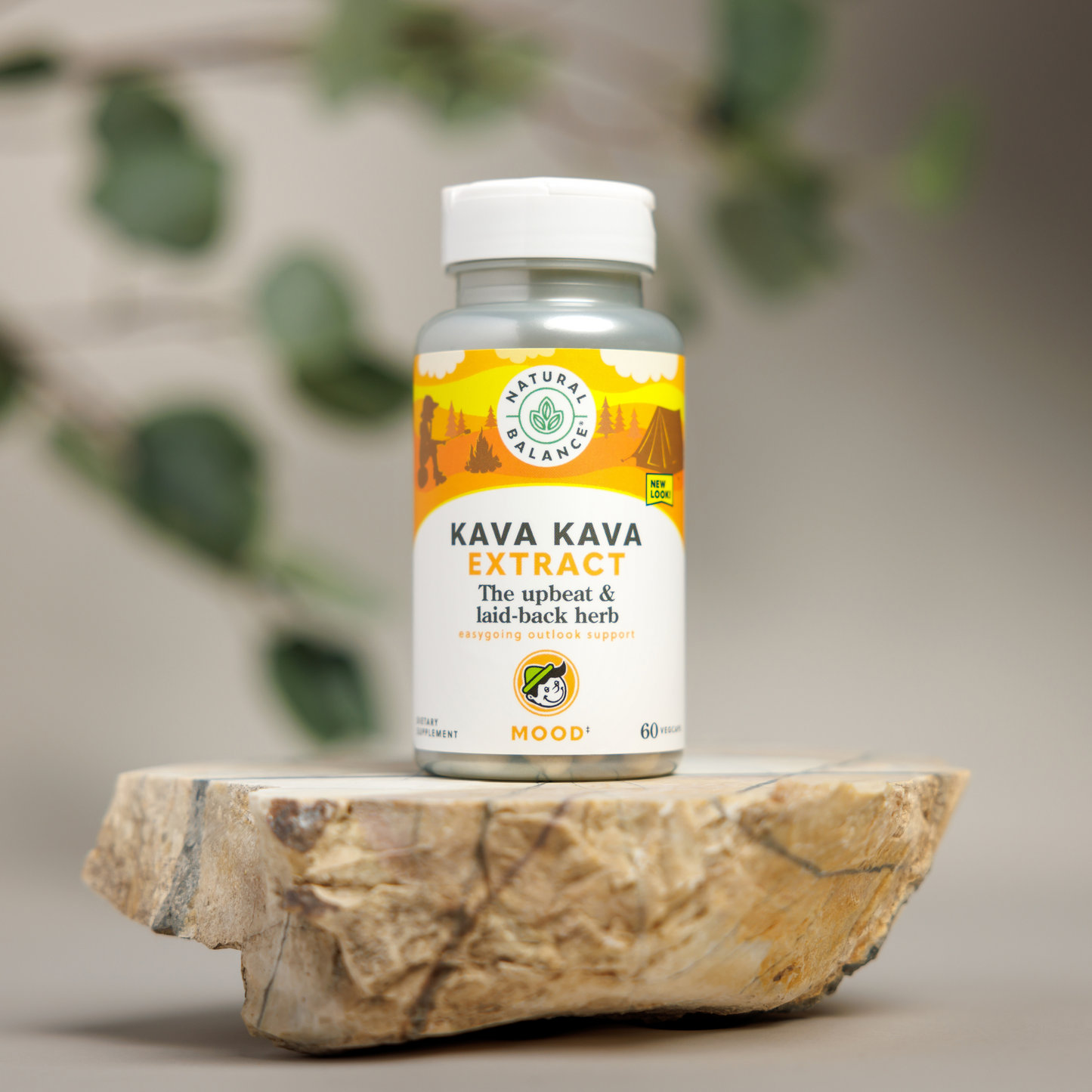 Kava Kava Root Extract | Easygoing Outlook Support